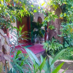 Gangula Eco , Sigiriya Sri Lanka